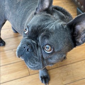 Meet your Posher, Denise